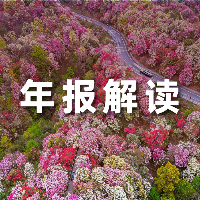 人生就是博官网动力2025营收利润双增，全栈智能驱动增长，AI有关业务收入占比达52.6%  ?